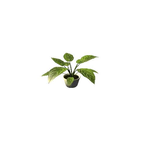 Plant01