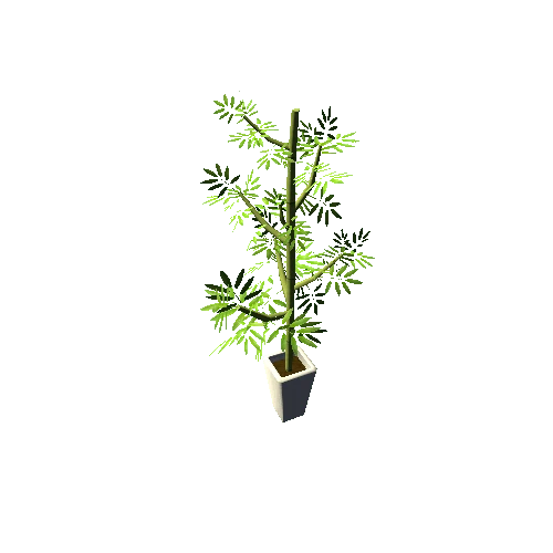 Plant02