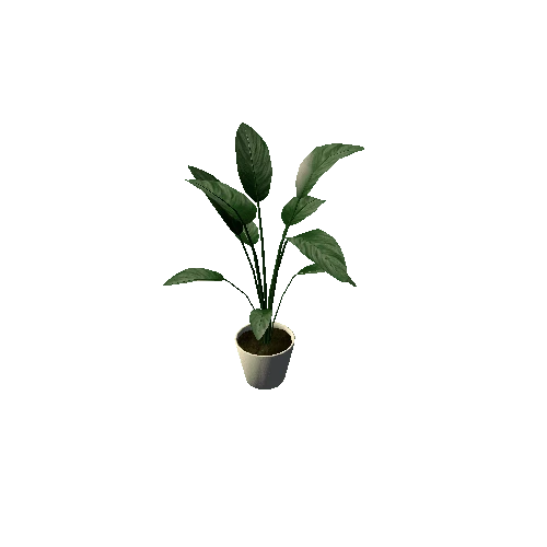 Plant05