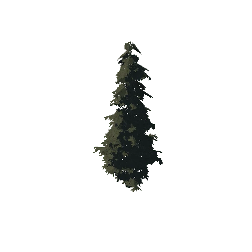 pine_01_medium