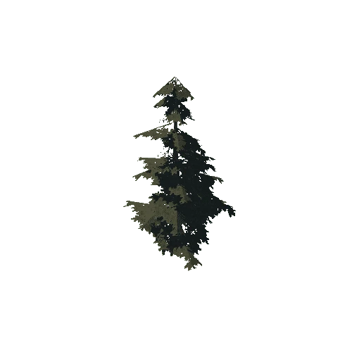 pine_02_low
