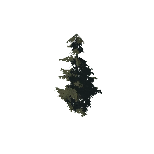 pine_02_medium