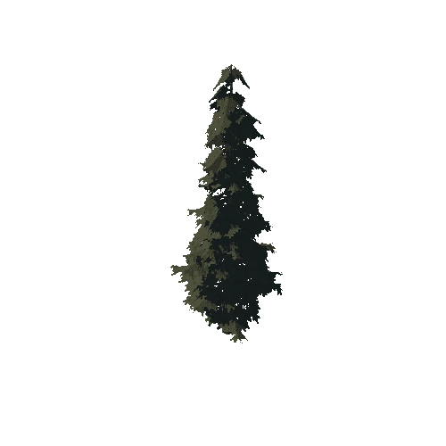 pine_03_high