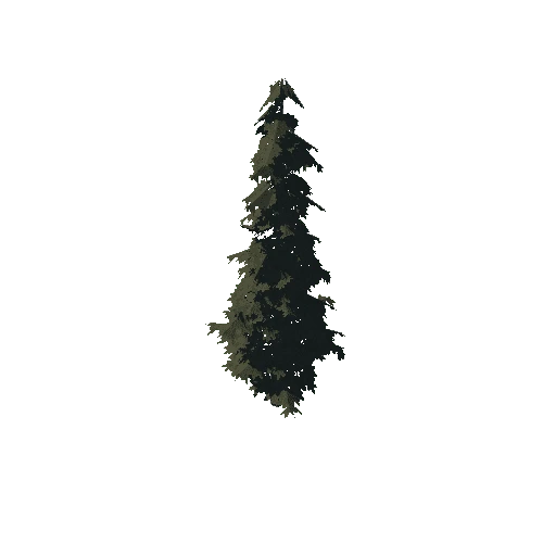 pine_03_medium