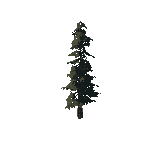 pine_04_medium