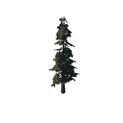 pine_05_low