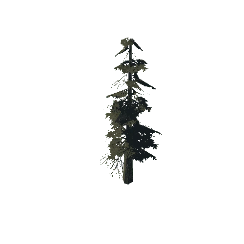 pine_07_medium