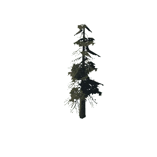 pine_08_medium