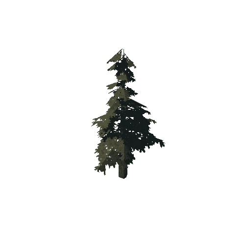 pine_09_low