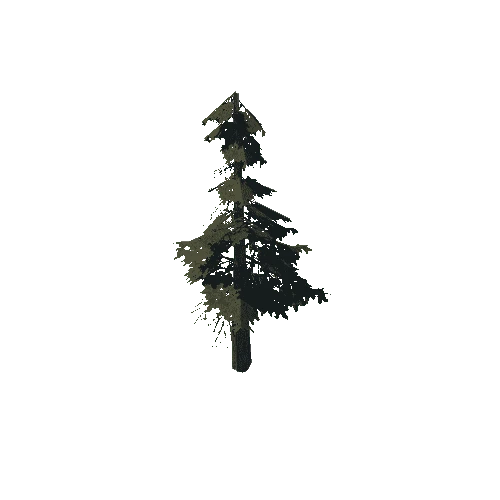 pine_10_medium