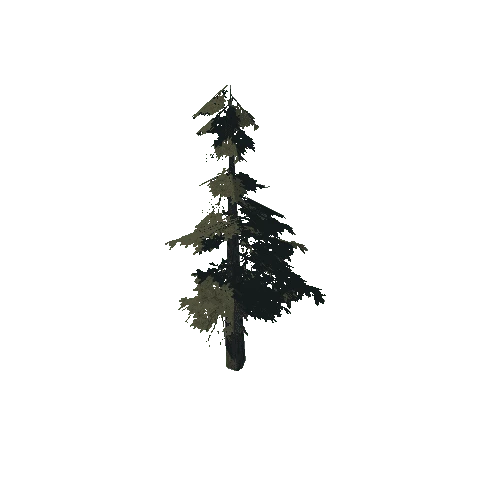 pine_11_low