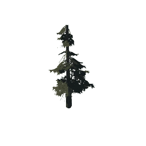 pine_12_high