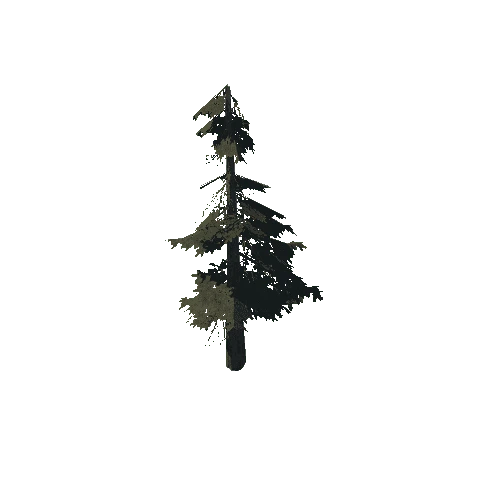 pine_12_medium