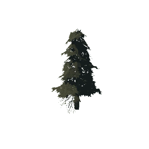pine_16_low
