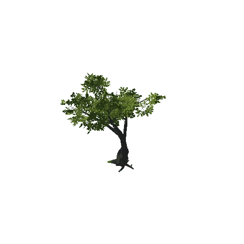 Tree_16