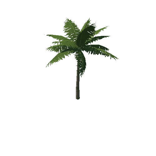 Palm_tree_03