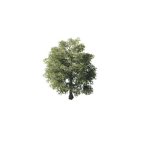 PF_Oak_small