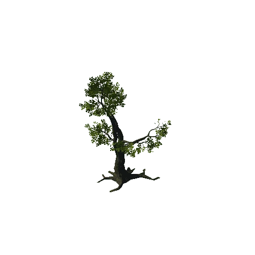 Tree_10