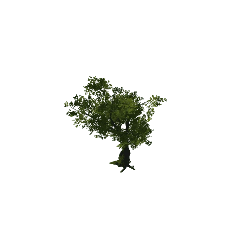 Tree_07