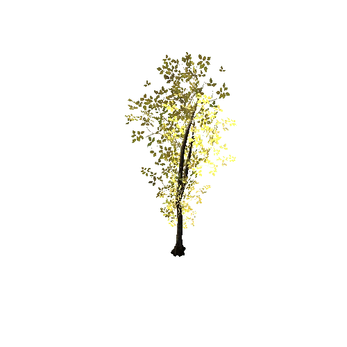 tree_002_fbx