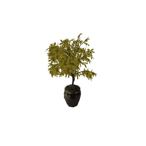 Ficus2_Leaf-LODGroup