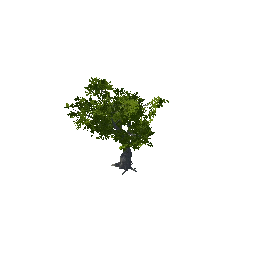 Tree_07