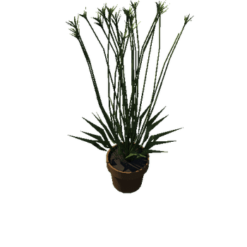 potted_plant_named_chuck