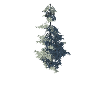 pine_02_high_1