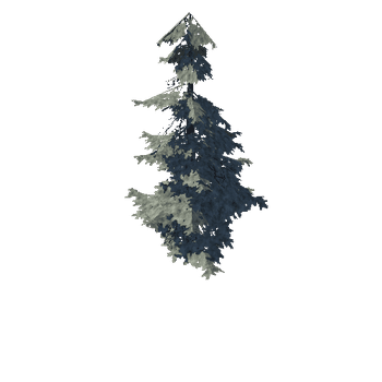 pine_02_medium