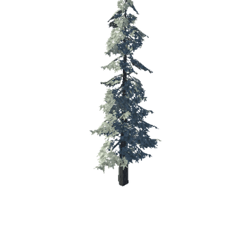 pine_04_high