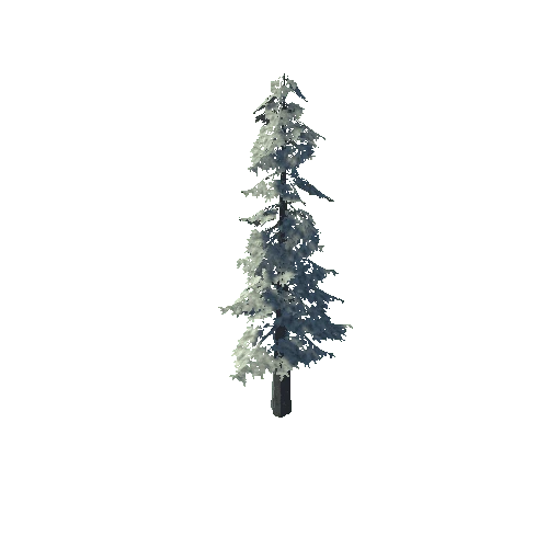 pine_04_high