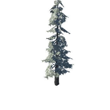 pine_04_high_1