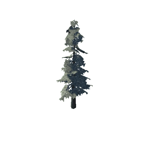 pine_04_low