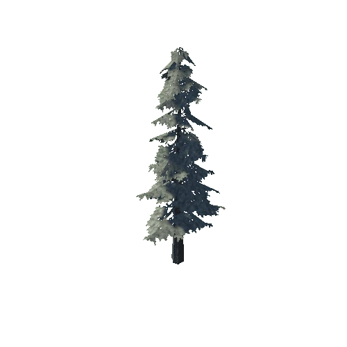 pine_04_medium