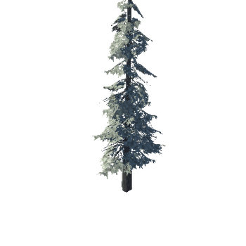 pine_05_high