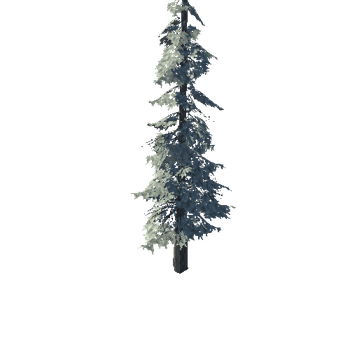 pine_05_high_1