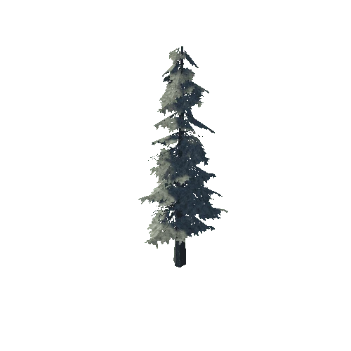 pine_05_medium