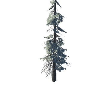 pine_06_high