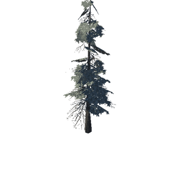 pine_06_low