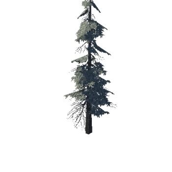 pine_06_medium