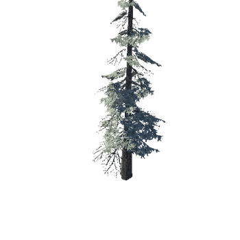 pine_07_high