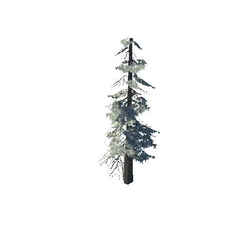 pine_07_high