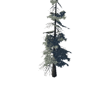 pine_07_low