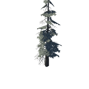 pine_07_medium