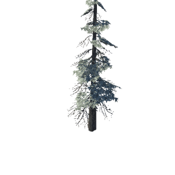pine_08_high