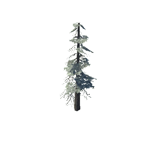 pine_08_high