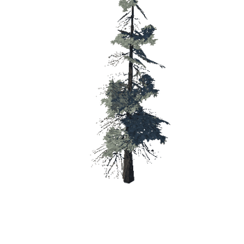 pine_08_low