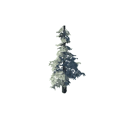 pine_09_high