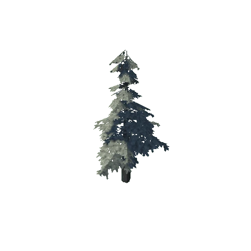pine_09_low