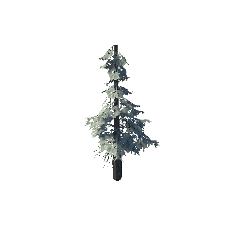 pine_10_high